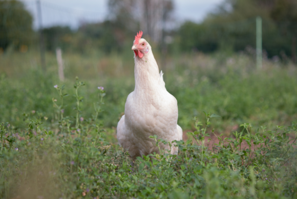 Neue Wege beschreiten