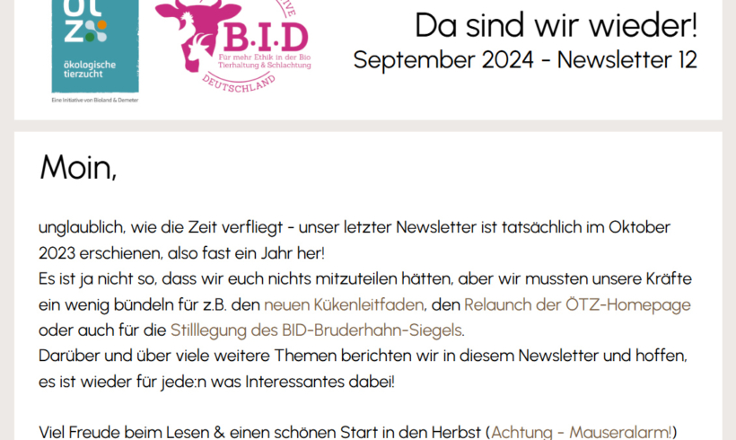 NEWSLETTER 12 – September 2024