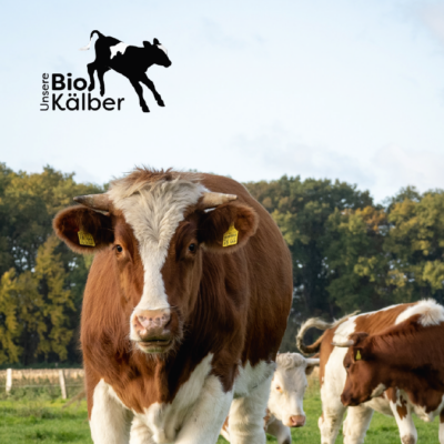WSNuka Unsere Bio-Kälber Vernetzungstreffen