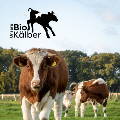 WSNuka - Unsere Bio-Kälber