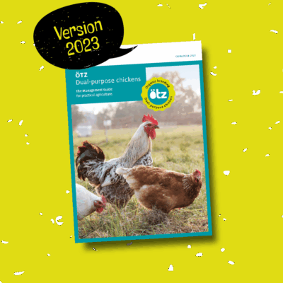 Managementguide EN Version 2023
