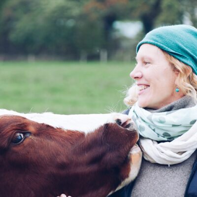 Kühe verstehen - Begegnungen auf Augenhöhe