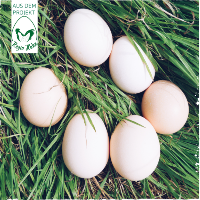 RegioHuhn SteirerEgg Eier