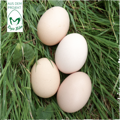 RegioHuhn BieleMeat Eier
