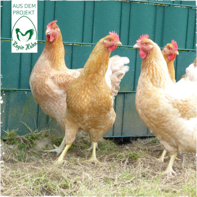 RegioHuhn BieleMeat Henne