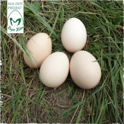 RegioHuhn RameslMeat Eier