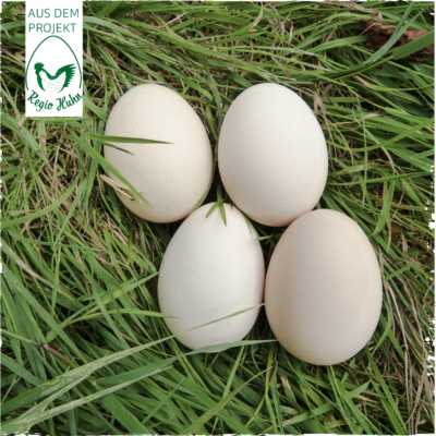 RegioHuhn SteirerMeat Eier