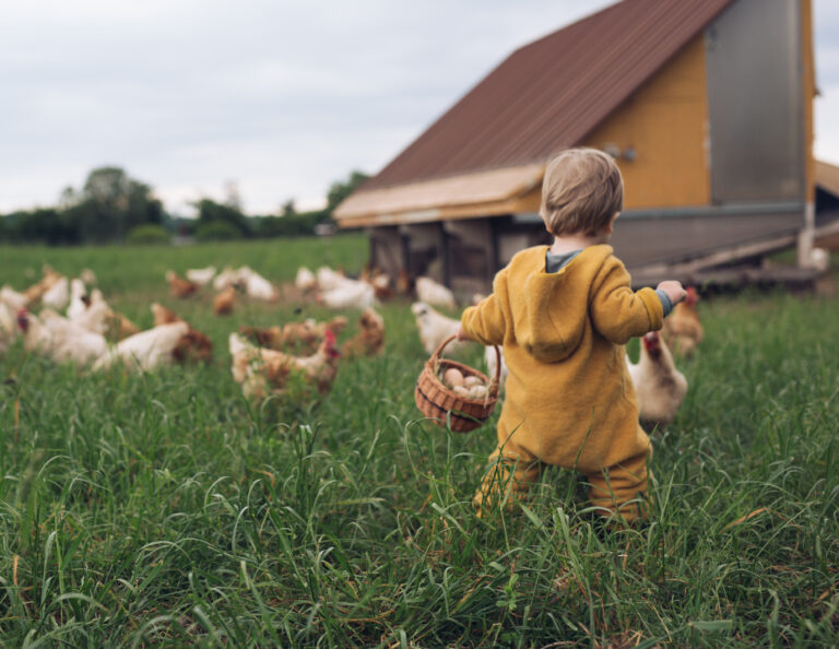Unsere Eier müssen sich nicht verstecken