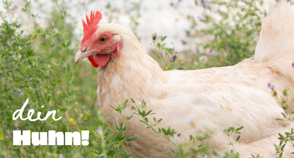 Ich wollt, ich wär dein Huhn