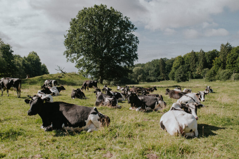 Ökologische Tierzucht 17 Trible-A Veranstaltung