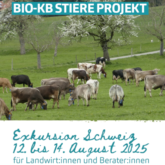 BIO-RINDERZUCHT UND BIO-KB STIERE PROJEKT
