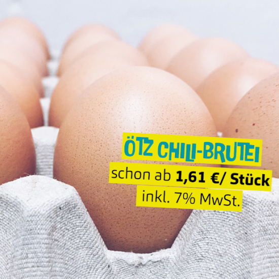 ÖTZ Chili Brutei kaufen