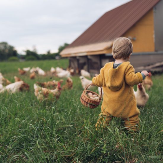 Unsere Eier müssen sich nicht verstecken